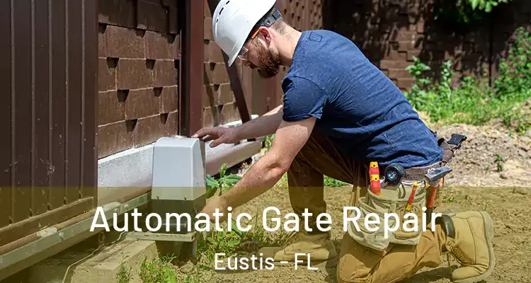 Automatic Gate Repair Eustis - FL