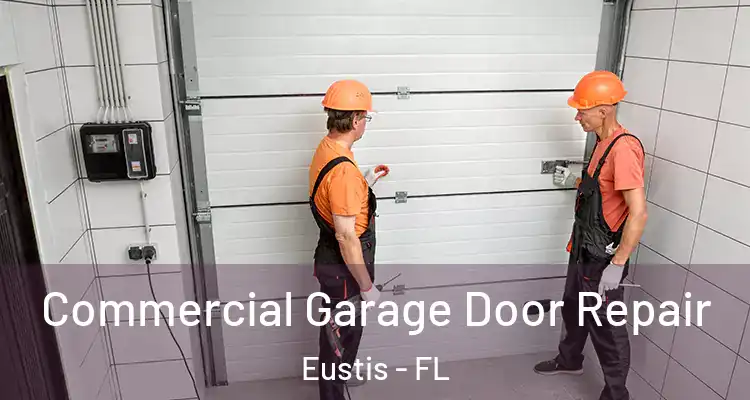 Commercial Garage Door Repair Eustis - FL