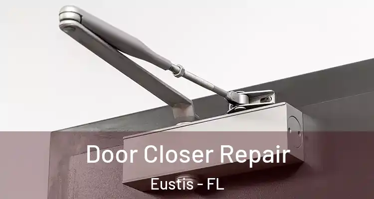 Door Closer Repair Eustis - FL