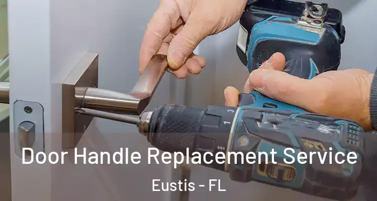 Door Handle Replacement Service Eustis - FL