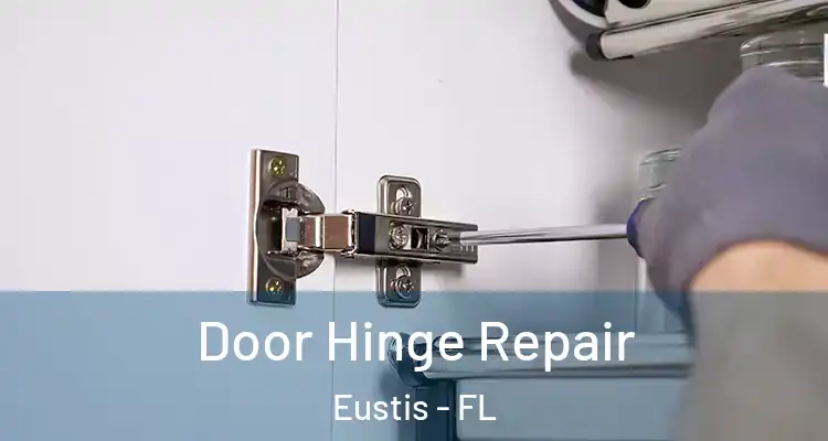 Door Hinge Repair Eustis - FL