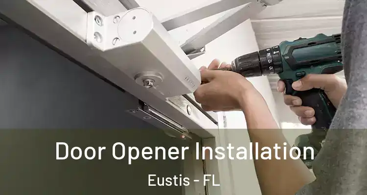 Door Opener Installation Eustis - FL