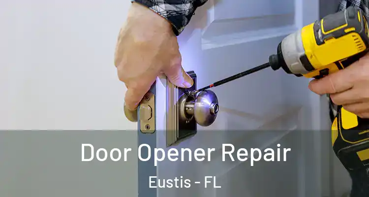 Door Opener Repair Eustis - FL