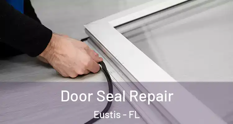 Door Seal Repair Eustis - FL