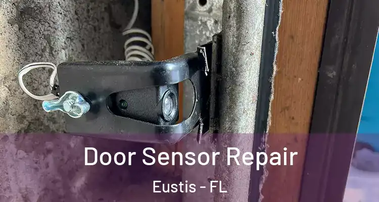 Door Sensor Repair Eustis - FL