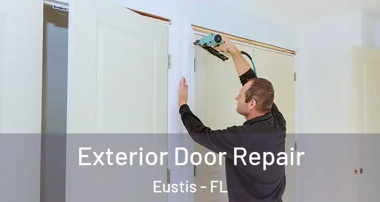 Exterior Door Repair Eustis - FL