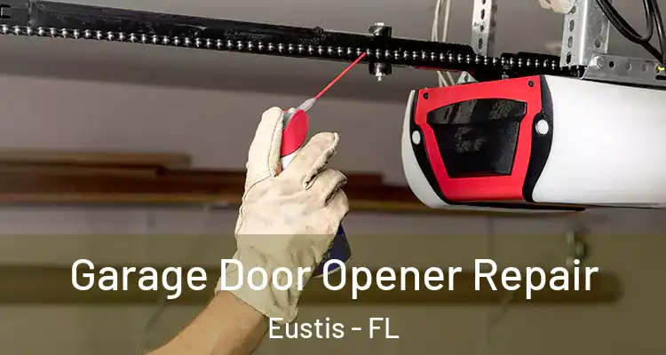 Garage Door Opener Repair Eustis - FL