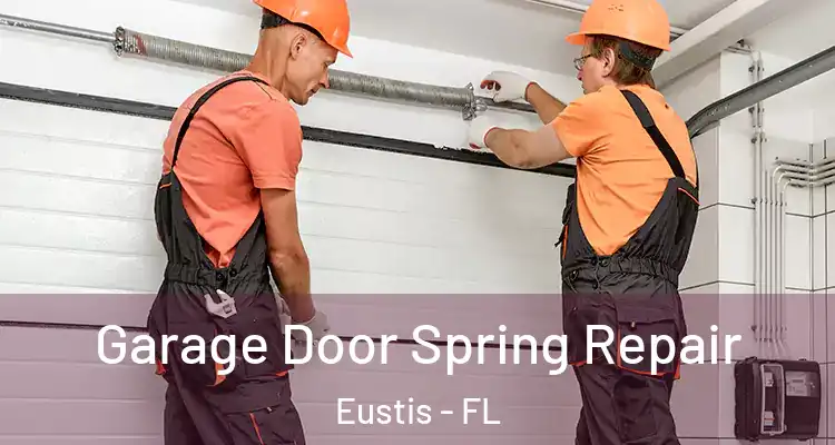 Garage Door Spring Repair Eustis - FL