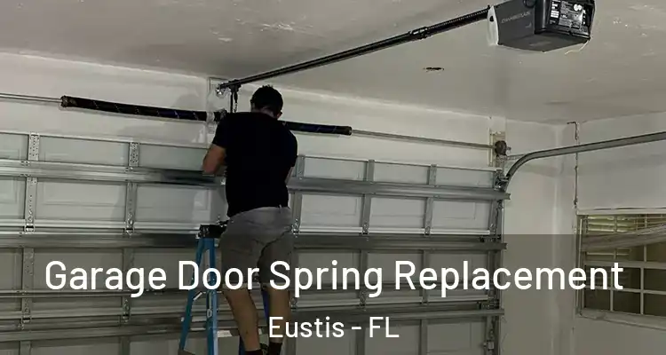 Garage Door Spring Replacement Eustis - FL