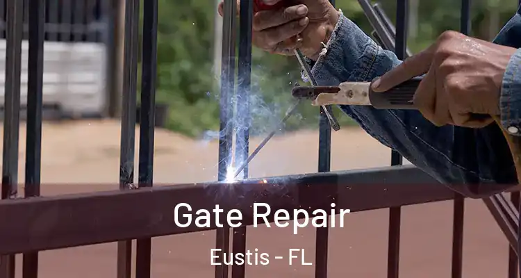Gate Repair Eustis - FL