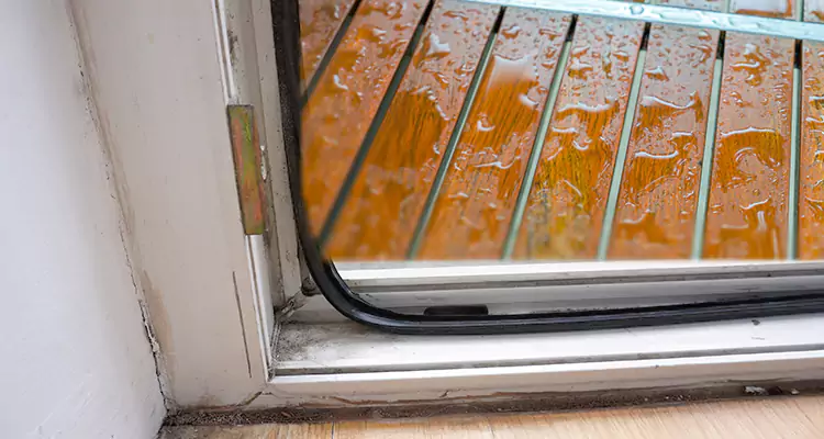 Water Leaking Wooden Patio Doors Repair in Eustis, FL