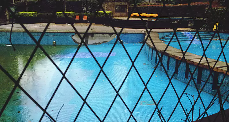 Lanai Screen Repair in Eustis, FL