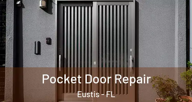 Pocket Door Repair Eustis - FL