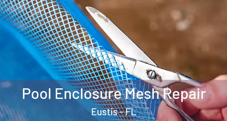 Pool Enclosure Mesh Repair Eustis - FL