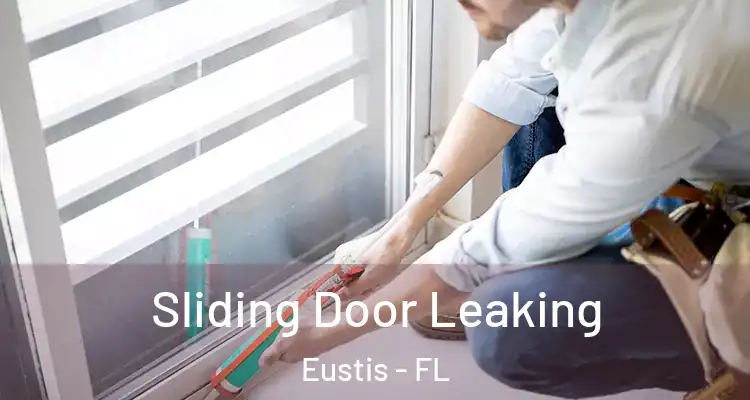 Sliding Door Leaking Eustis - FL
