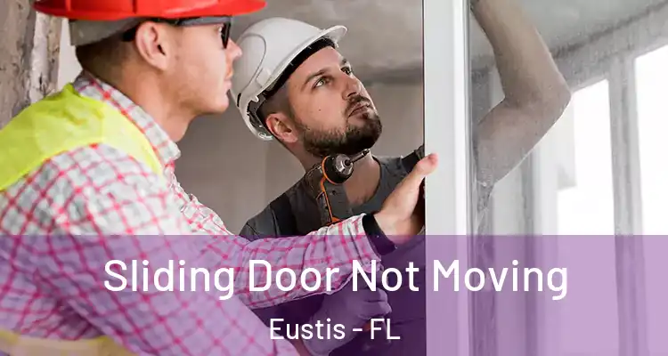 Sliding Door Not Moving Eustis - FL