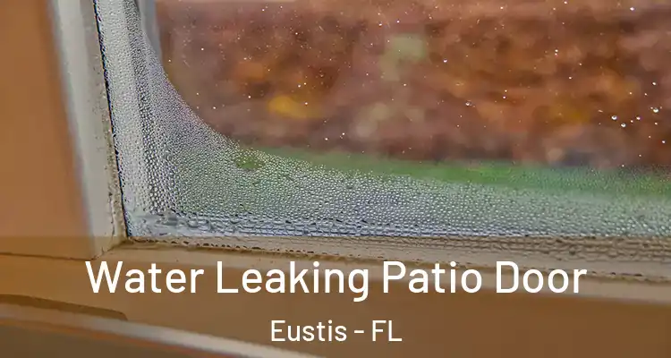 Water Leaking Patio Door Eustis - FL