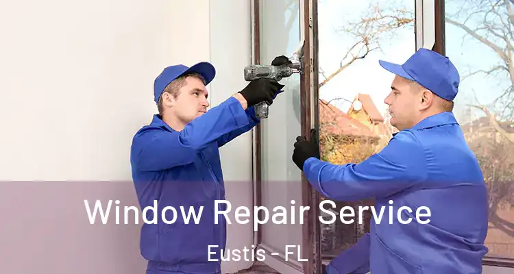 Window Repair Service Eustis - FL